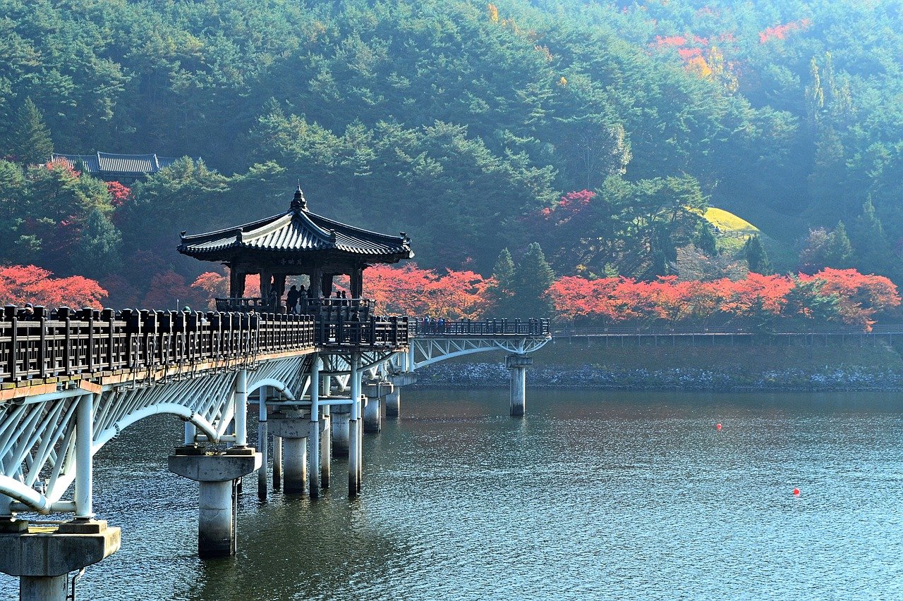 도안동 한우