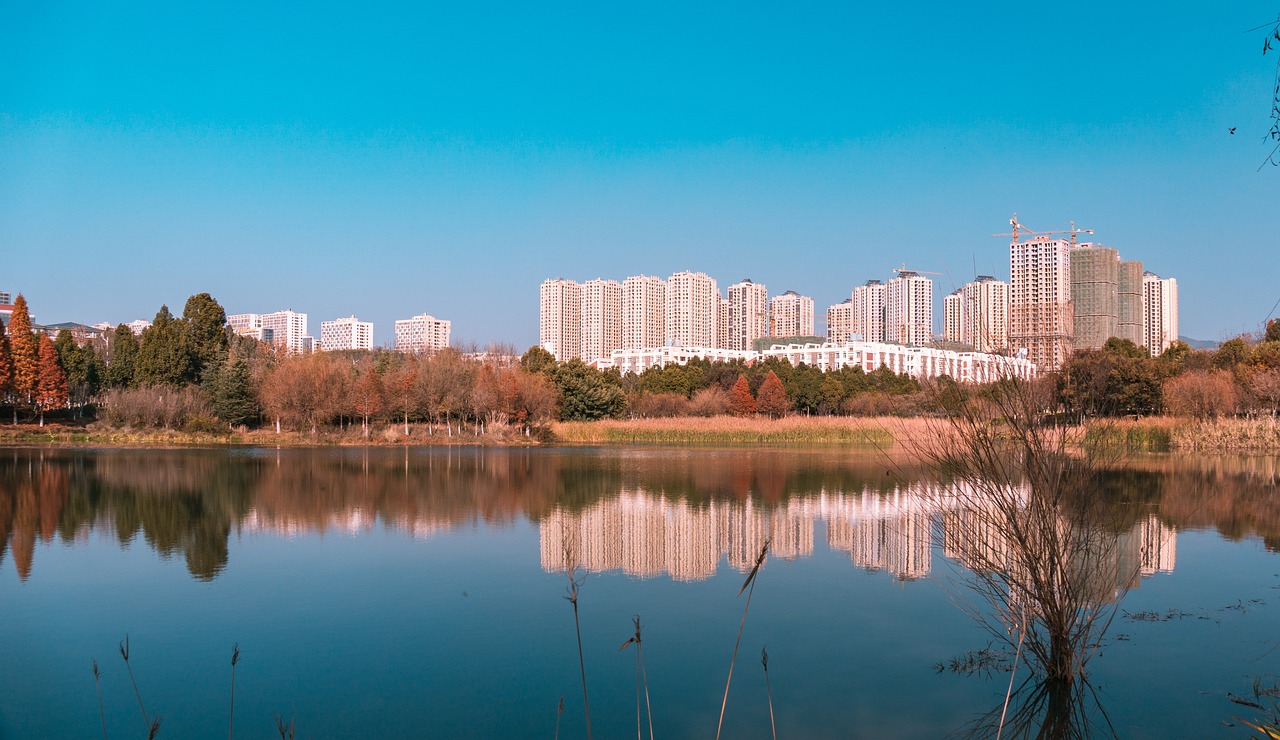 수도권이사