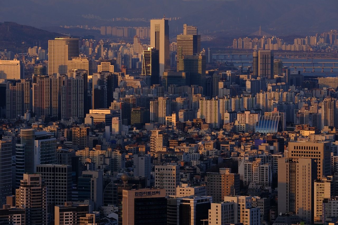 서울이사