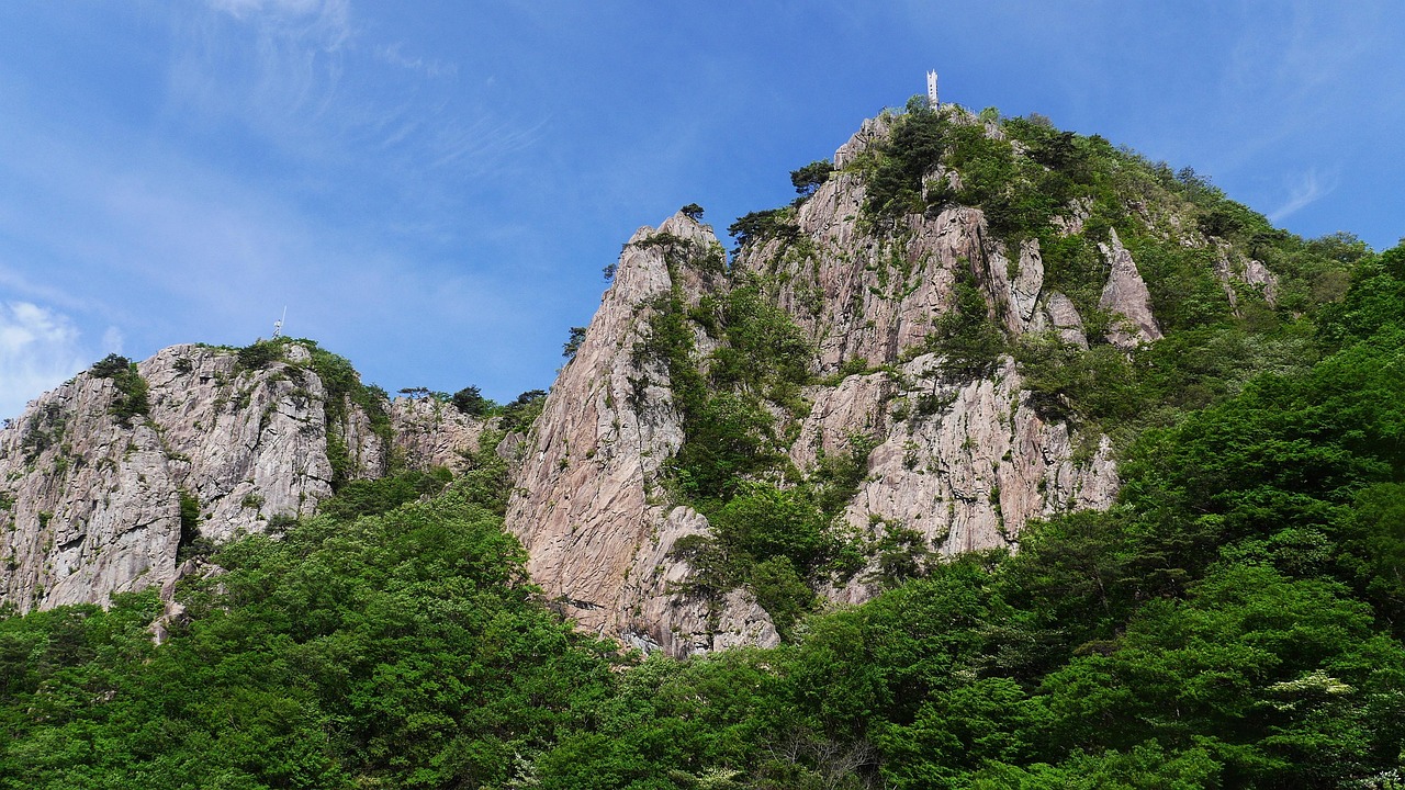 전라북도 군산시 포장이사 견적 비용