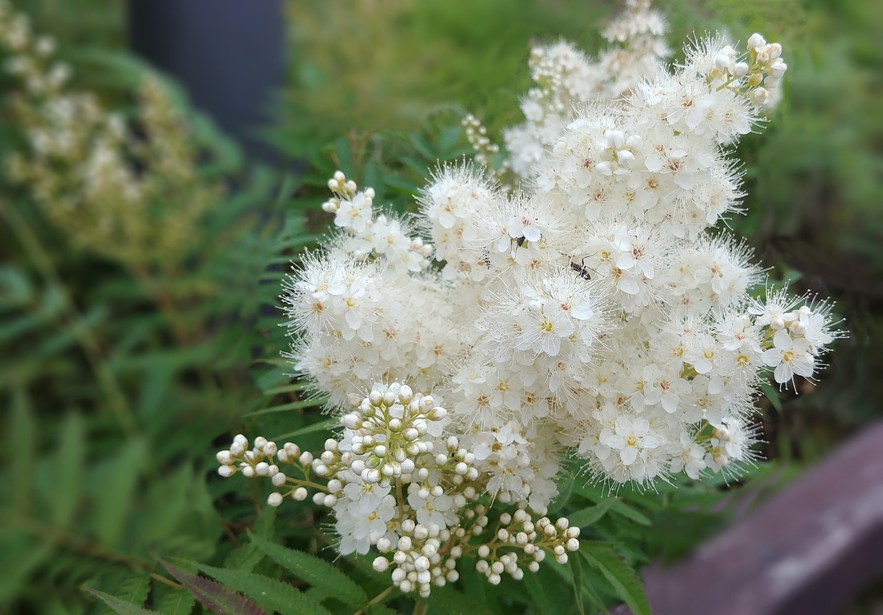 세종시 한식