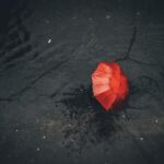 서대문 연희 포장이사 꿀팁 알아보자