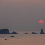 제주 포장이사 추천하는 꿀팁