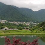 해파리냉채 맛집 추천 리스트 살펴보기
